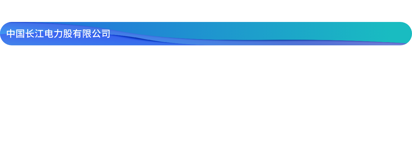 pc-中国长江电力股有限公司.png
